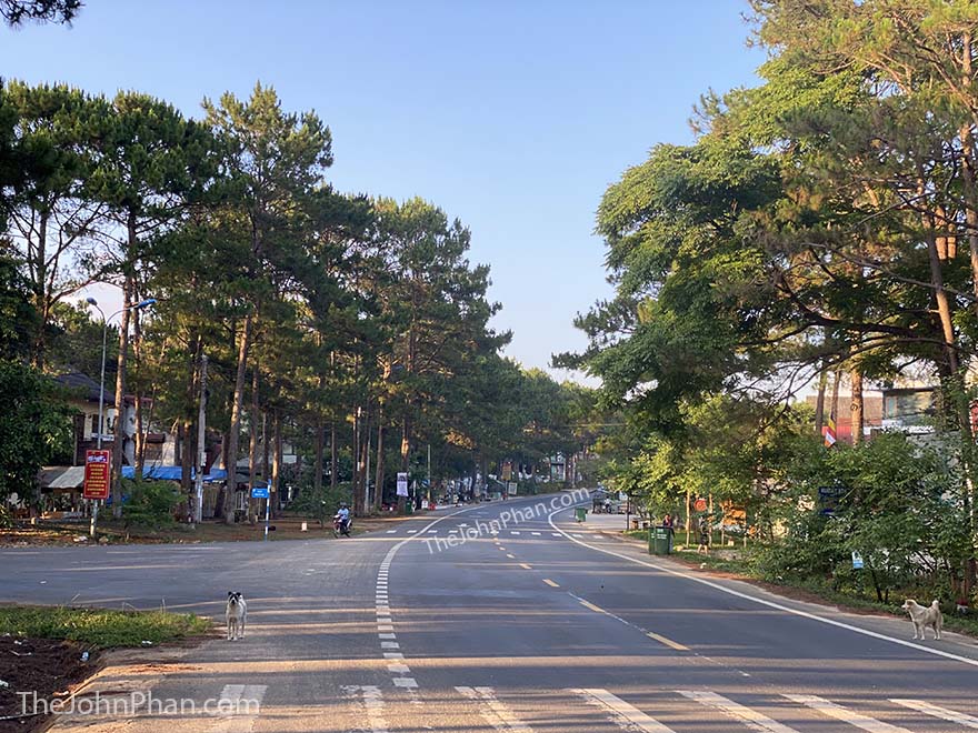 măng đen kon tum